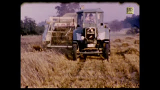 Getreideernte 1960 in der Lüneburger Heide  Historischer Film  Claas Mähdrescher Bulldog  Pferde [upl. by Aleel]