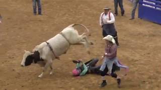 Peewee Bull Riding  2018 Junior Bull Riding National Finals NJBRA [upl. by Oderfigis279]