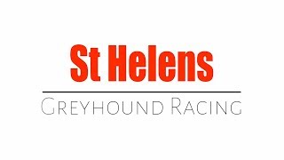 St Helens Park Road Greyhound Racing Part 1 of 6 1986 [upl. by Yaj107]