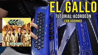 El Gallo  Maximo Grado Tutorial Acordeon Con Adornos [upl. by Janette224]