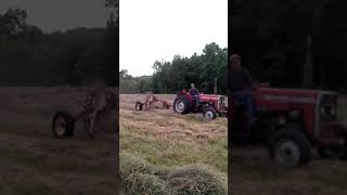 5 Wheel Hay Rake and Massey 240 [upl. by Keviv]