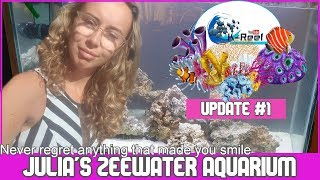 Julias Reeftank Update1 With English Subtitles [upl. by Demmahum]