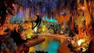 Rainforest Cafe Ride  Galveston [upl. by Danzig114]