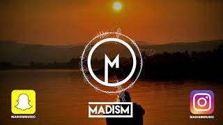 Lewis Capaldi  Someone You Loved Madism remix [upl. by Amelia944]