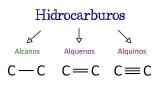 🔥 Alcanos Alquenos y Alquinos ⚫️ ¿Qué son Características EJEMPLOS Fácil y Rápido  QUÍMICA [upl. by Ambrosine74]