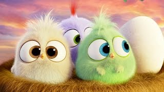 Happy Mothers Day  The Angry Birds Movie [upl. by Mharba767]