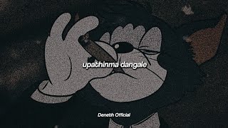 Upathinma Dangale  උපතින්ම දාංගලේ   Slowed  Reverb  2024 [upl. by Ahsahs]