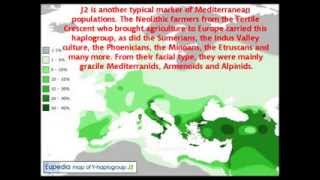 The look and origin of the Mediterranid facial type [upl. by Norehs]