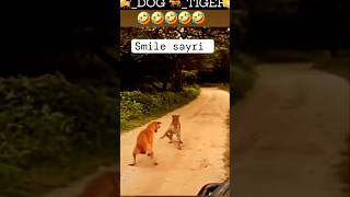 🐕Dog vs tiger 🦁trending funny viral short [upl. by Gnay]