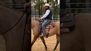 Do this if your horse breaks gait horse rosehorsemanship horsemanship [upl. by Lledyr722]