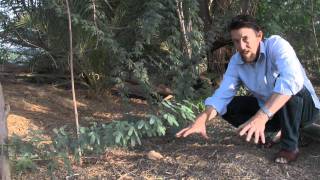 Greening the Desert Video  Parts I and II French Subtitles [upl. by Sesom]