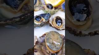 Πεταλίδες  Limpets Catch And Cook [upl. by Adlaremse284]