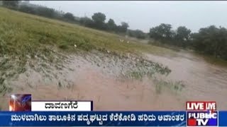 Davanagere Large Amount Of Crops Destroyed In Harapanahalli Taluk Due To Heavy Rain [upl. by Block]