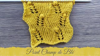 POINT AU TRICOT  Point Champ de blé [upl. by Makell]