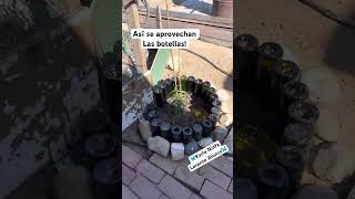 Aprendiendo a reciclar jardin reciclaje garden reciclarte plantas ecoideacrea [upl. by Ahselaf]