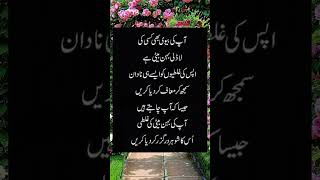 اپکی بیوی flute music cover ringtone recorder quotes backgroundmuisc musiclove poetry back [upl. by Felicio716]