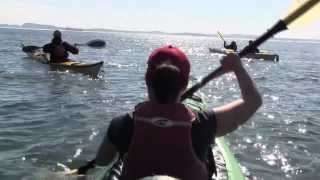 Anacortes Kayak Tours San Juan Islands Washington [upl. by Pronty]