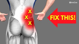 How to Fix Lower Back Pain off to the Side [upl. by Nolubez]