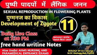 DEVELOPMENT OF ZYGOTE IN ANGIOSPERMS युग्मनज का विकास12th BiologyNEET BIOLOGYBIOLOGY CONCEPT [upl. by Yenolem]