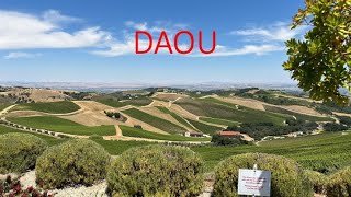 A Daou é uma vinícola Californiana que produz grandes vinhos [upl. by Neirrad]