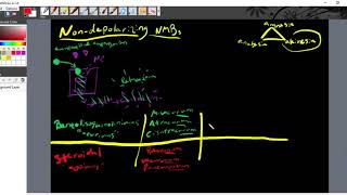 Intro to Nondepolarizing Neuromuscular Blockers [upl. by Guria143]