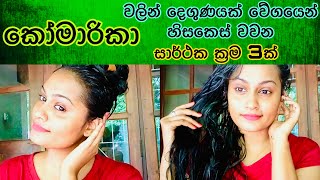 කෝමාරිකා වලින් කොන්ඩේ වවන සුපිරිම ක්‍රම 3ක්  Amazing Tips for Hair Regrowth with Aloe Vera [upl. by Midian]