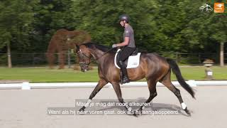 Tips van de top  De leertheorie van het paard [upl. by Adas794]