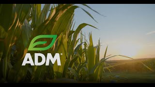 ADM BioSolutions Innovation for a Sustainable Future [upl. by Joye]