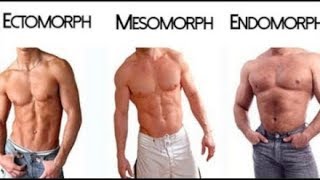 Ectomorph  Endomorph  Mesomorph  The 3 Different Body Types [upl. by Blondell]