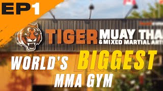 Worlds Biggest MMA Gym Tiger Muay Thai  Ep 1  First Day in Phuket [upl. by Rutter422]