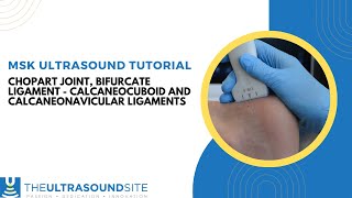 MSK ultrasound of the bifurcate ligament at the Chopart joint [upl. by Brittnee]