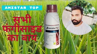 Amistar top best fungicide in the world  Syngenta ka amistar top [upl. by Bocaj]