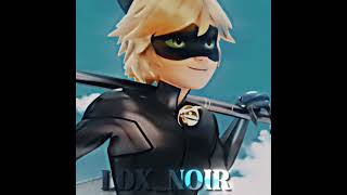 Chat Noir 🖤💚😍✨ edit [upl. by Sheelah721]