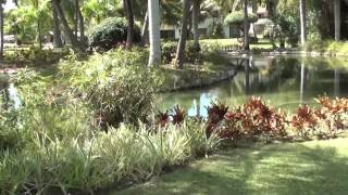 Overview Catalonia Bavaro Beach Golf amp Casino Resort 5 [upl. by Gregorius584]