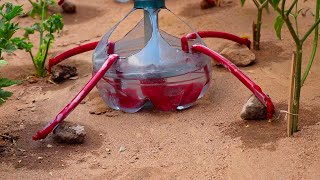 Cómo hacer RIEGO POR GOTEO CASERO Y AUTOMÁTICO fácil y rápido sirve para chilis apios tomates [upl. by Phyl826]