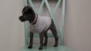 12 Adorable Dog Sweaters and Other Knitting Patterns for Pups [upl. by Aelanej]