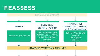 Heart Failure Treatment of HF with Reduced Ejection Fraction HFrEF [upl. by Riccio]