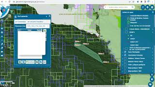 CÓMO INVESTIGAR ÁREAS PARA CONCESIONES MINERAS EN LA AMAZONÍA DEL PERÚ [upl. by Annaiv332]