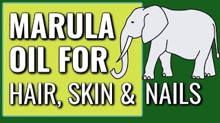 MARULA OIL FOR HAIR SKIN AND NAILS DR DRAY [upl. by Nelaf316]