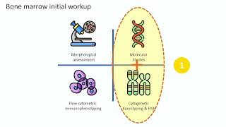 Advances in Hematology Molecular Diagnostics – Dr Saeed Al Turki September 1516 2023 [upl. by Sicnarf52]