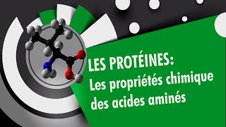 Propriétés chimiques des acides aminés  Les proteines 24 [upl. by Joashus]