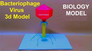 Bacteriophage virus model 3d making  diy  biology model making  craftpiller  still model [upl. by Ttenaj]