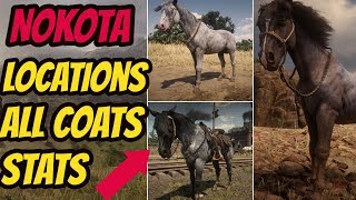 RDR2 Turkoman Horse Location  Turkoman [upl. by Slotnick]