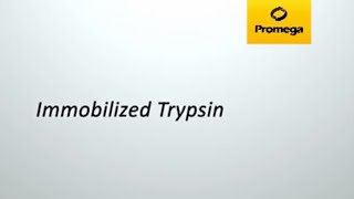 Immobilized Trypsin [upl. by Kennan]