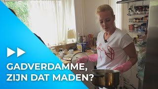 BAH Een huis vol VLIEGEN  Jouw Vrouw Mijn Vrouw [upl. by Kiernan752]