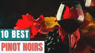 Top Pinot Noirs of 2019  Chosen By Leading American Sommeliers [upl. by Ymmik]