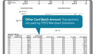 Understanding Statements  TSYS Merchant Solutions [upl. by Kamat]