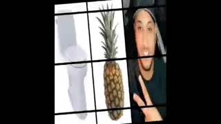 toilet ananas nas das for 1 hour [upl. by Hanafee]