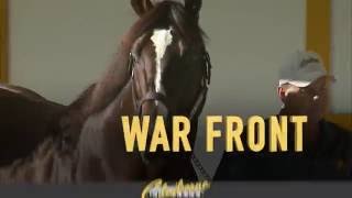 War Front Claiborne Farm [upl. by Enelad]