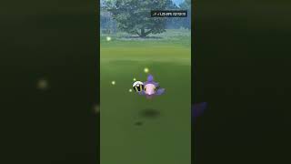 Shiny Spritzee Pokemon Go [upl. by Kannan]